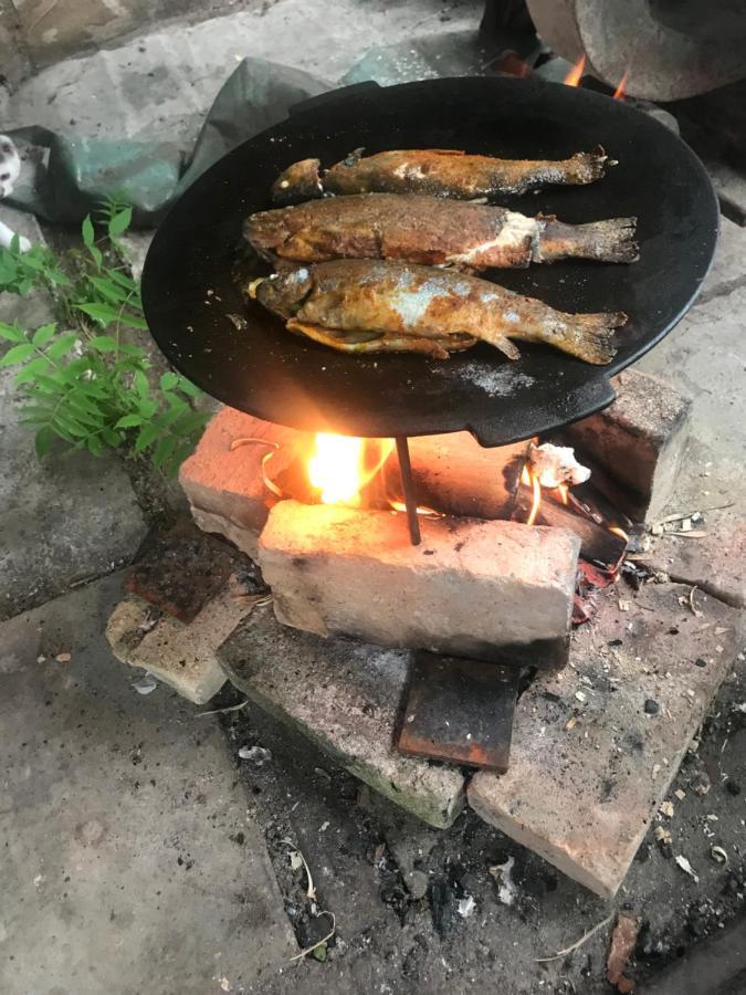 Romanticka So Saunou V Prirode Turany